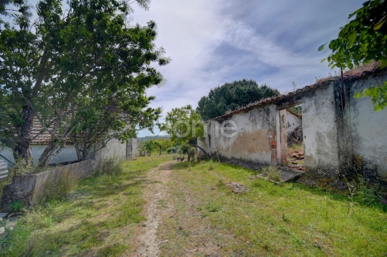 Quinta T17 para Venda em Manique do Intendente, Vila Nova de São Pedro e Maçussa Foto 20
