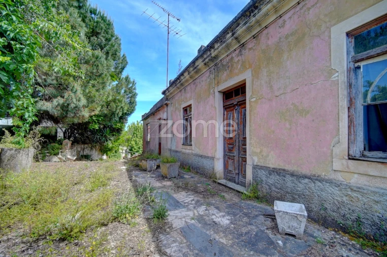 Quinta T17 para Venda em Manique do Intendente, Vila Nova de São Pedro e Maçussa Foto 6