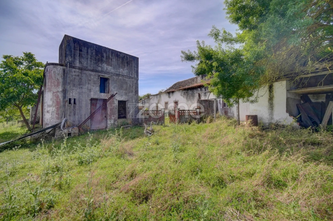 Quinta T17 para Venda em Manique do Intendente, Vila Nova de São Pedro e Maçussa Foto 22