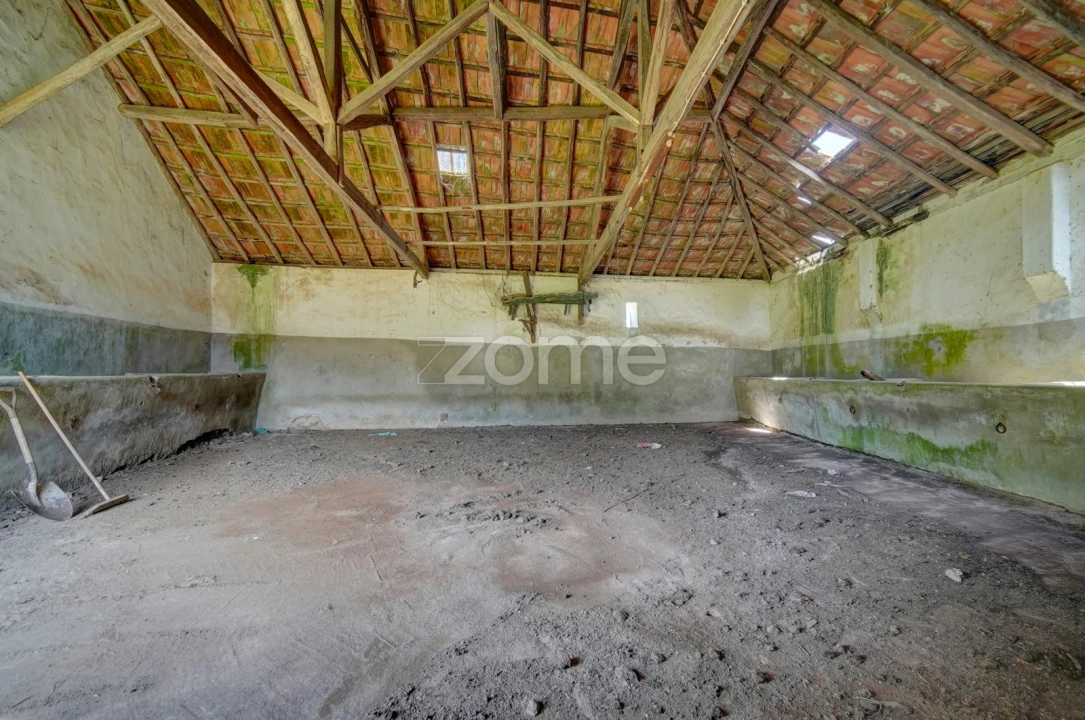 Quinta T17 para Venda em Manique do Intendente, Vila Nova de São Pedro e Maçussa Foto 26