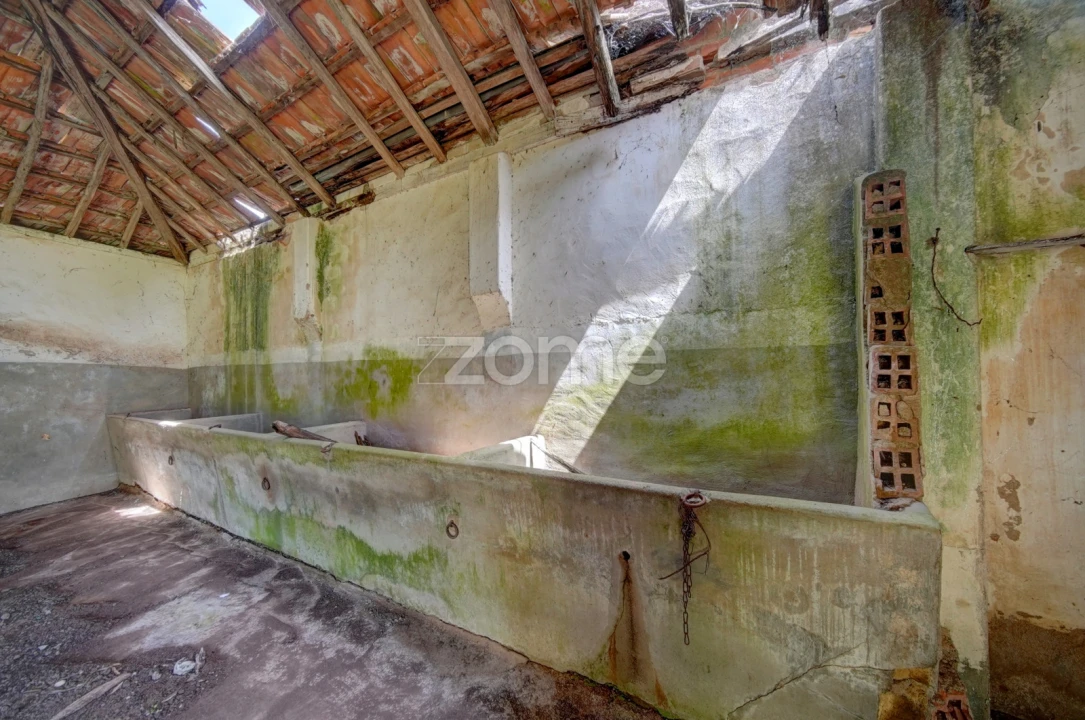 Quinta T17 para Venda em Manique do Intendente, Vila Nova de São Pedro e Maçussa Foto 27