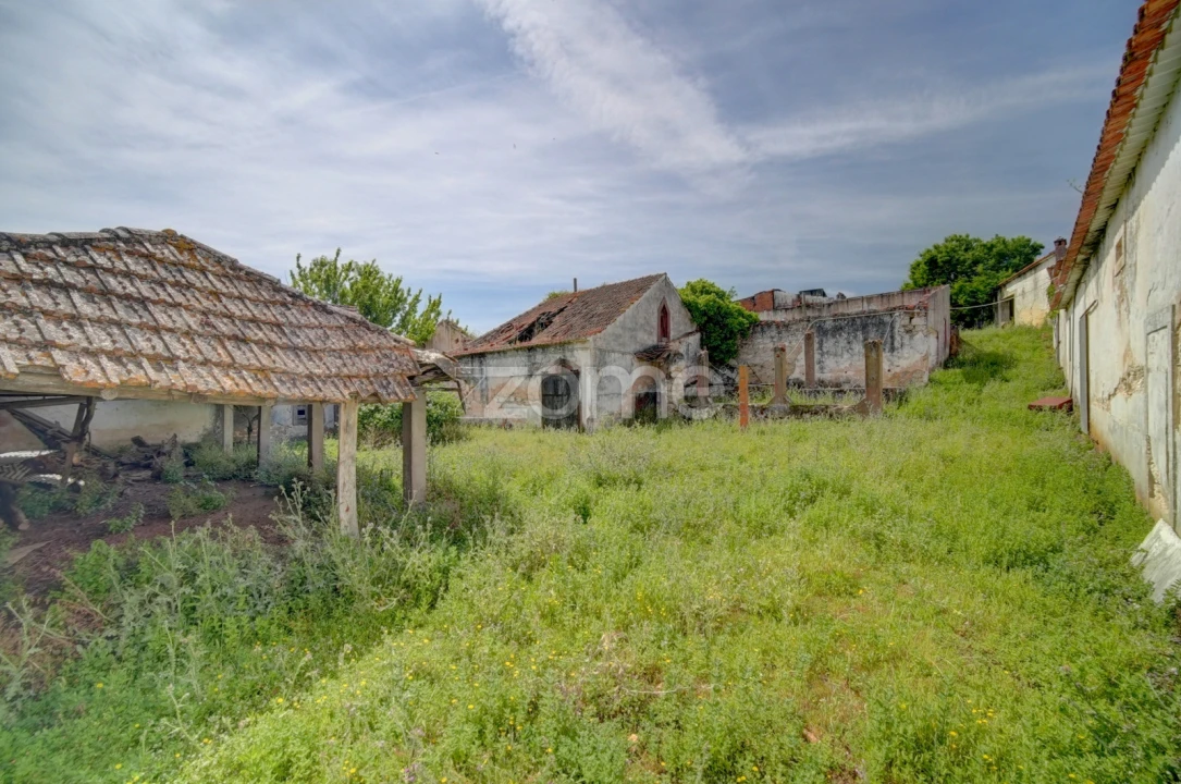 Quinta T17 para Venda em Manique do Intendente, Vila Nova de São Pedro e Maçussa Foto 36