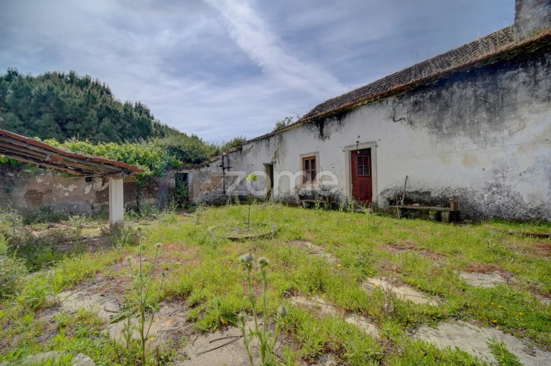 Quinta T17 para Venda em Manique do Intendente, Vila Nova de São Pedro e Maçussa Foto 21