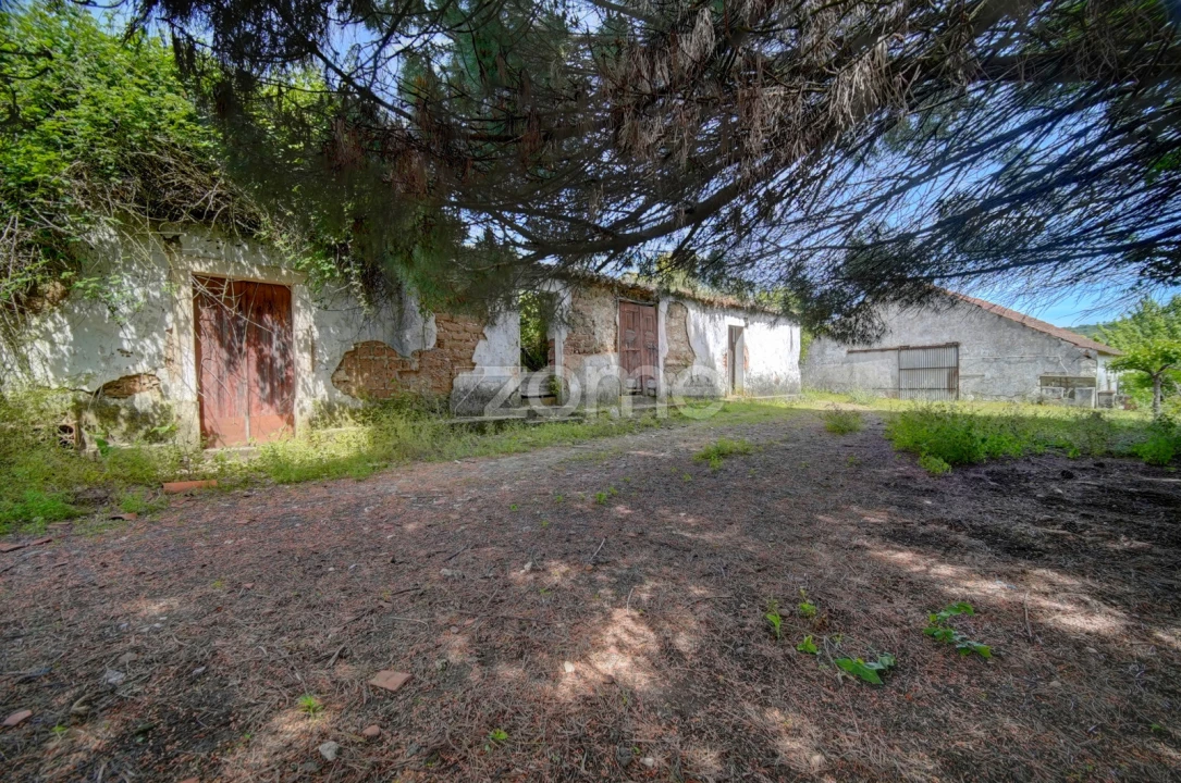 Quinta T17 para Venda em Manique do Intendente, Vila Nova de São Pedro e Maçussa Foto 19