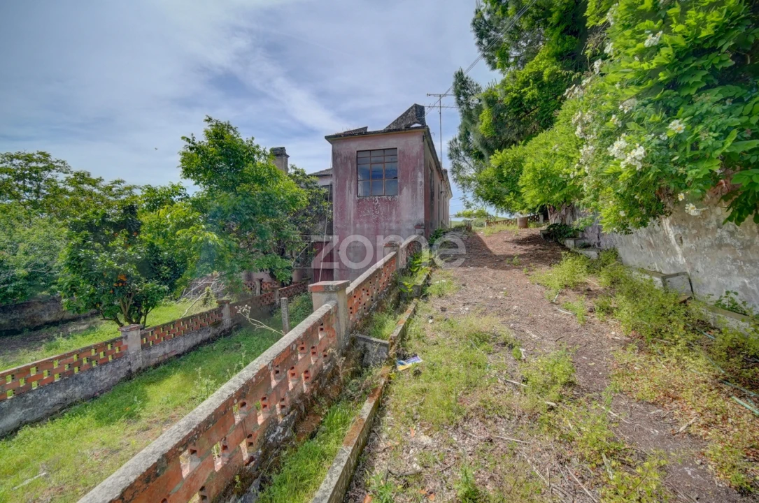 Quinta T17 para Venda em Manique do Intendente, Vila Nova de São Pedro e Maçussa Foto 15