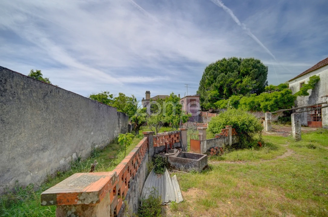 Quinta T17 para Venda em Manique do Intendente, Vila Nova de São Pedro e Maçussa Foto 17
