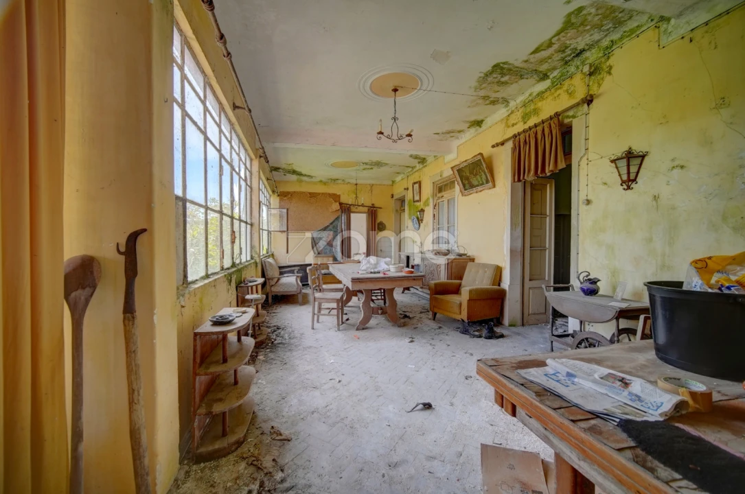 Quinta T17 para Venda em Manique do Intendente, Vila Nova de São Pedro e Maçussa Foto 7