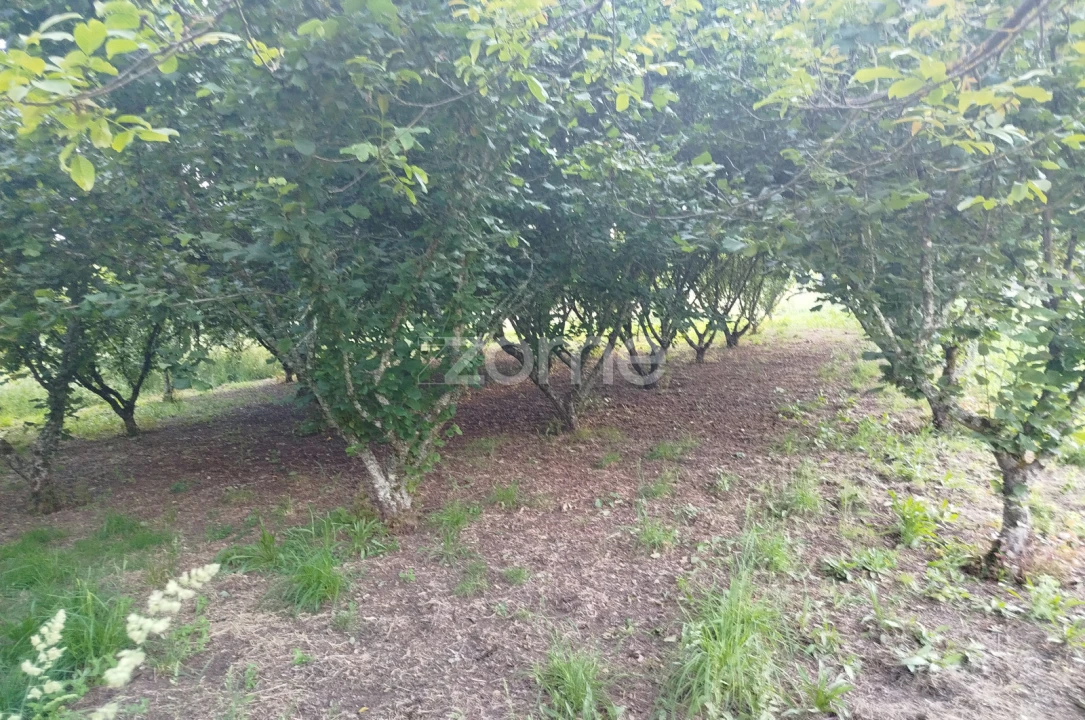 Terreno para Venda em Ranhados Foto 2