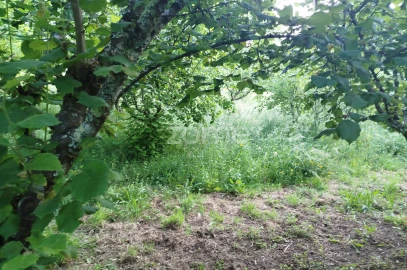Terreno para Venda em Ranhados