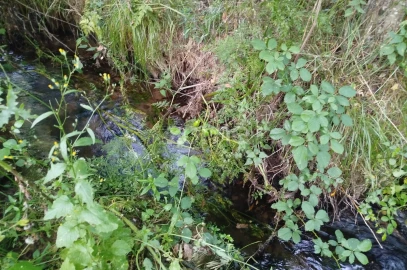 Terreno para Venda em Ranhados