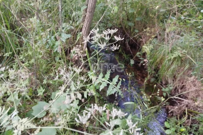 Terreno para Venda em Ranhados