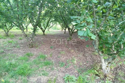 Terreno para Venda em Ranhados