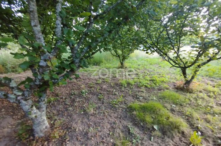 Terreno para Venda em Ranhados Foto 5
