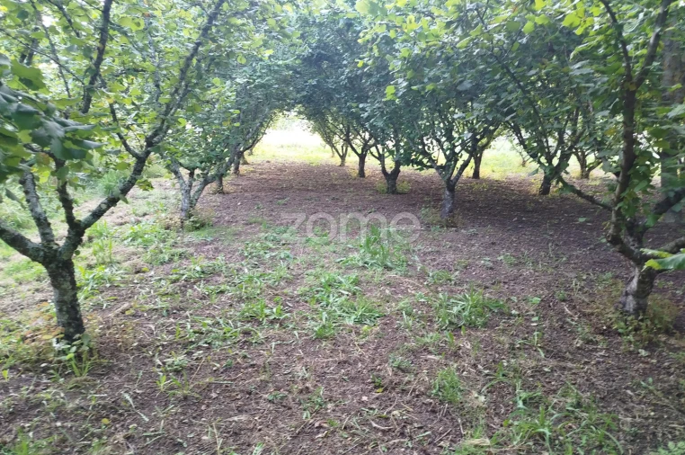 Terreno para Venda em Ranhados Foto 15