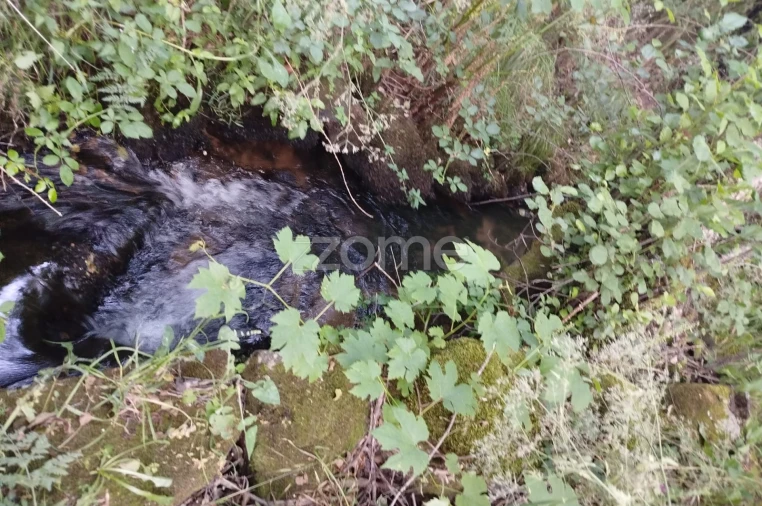 Terreno para Venda em Ranhados Foto 16
