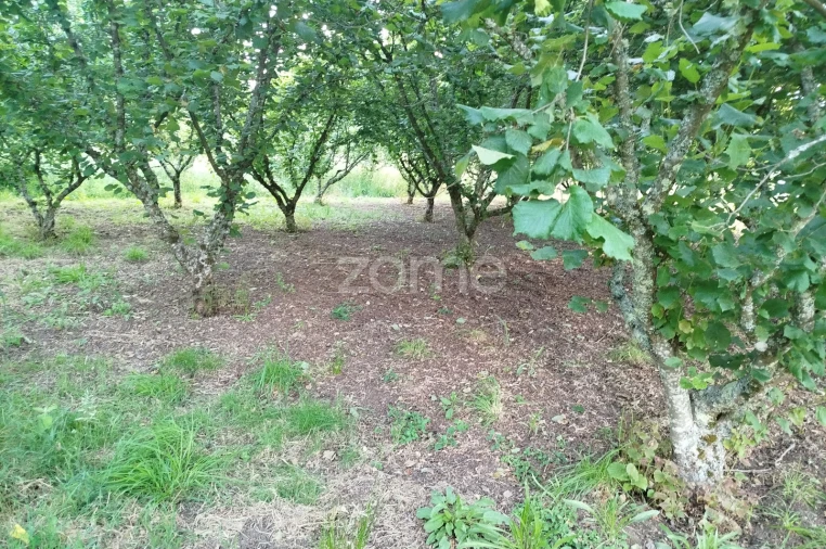 Terreno para Venda em Ranhados Foto 3