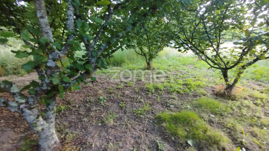 Terreno para Venda em Ranhados