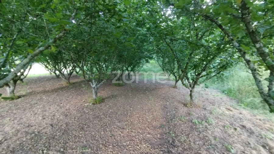 Terreno para Venda em Ranhados