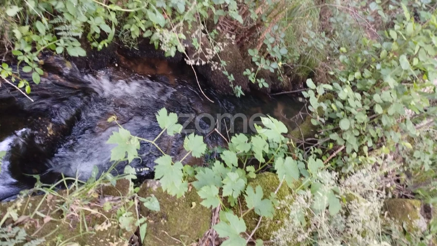 Terreno para Venda em Ranhados