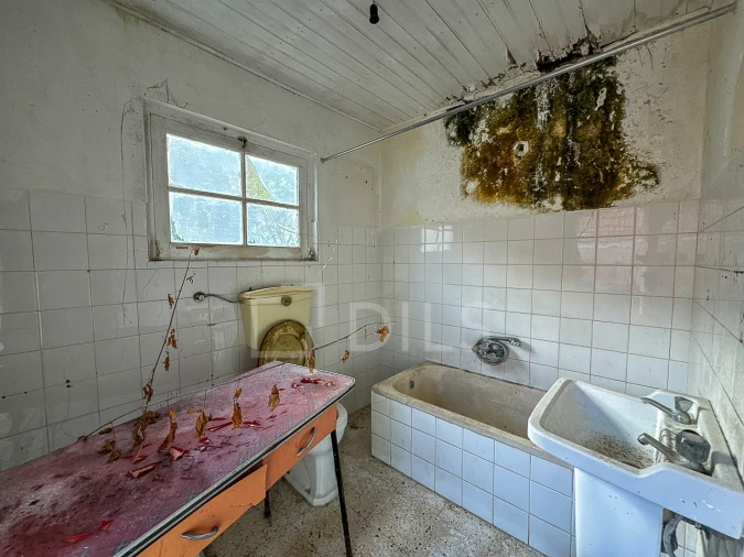 Prédio para Venda em Colares Foto 15