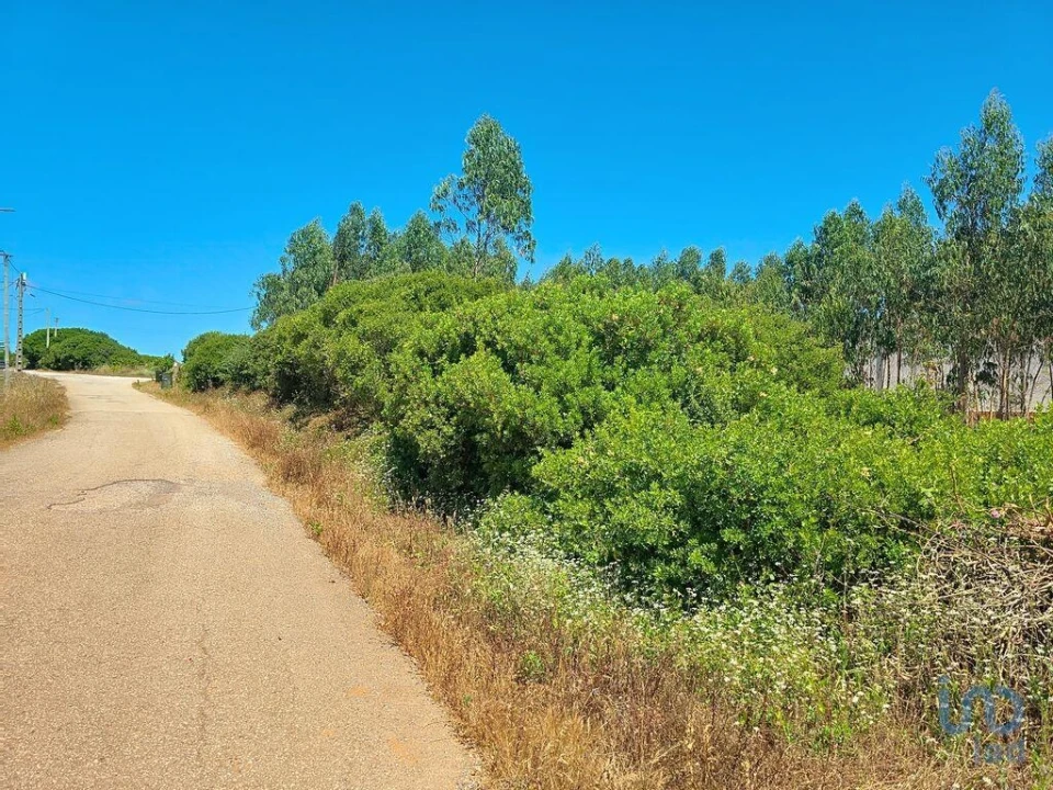 Terreno para Venda em Lourinhã e Atalaia Foto 8