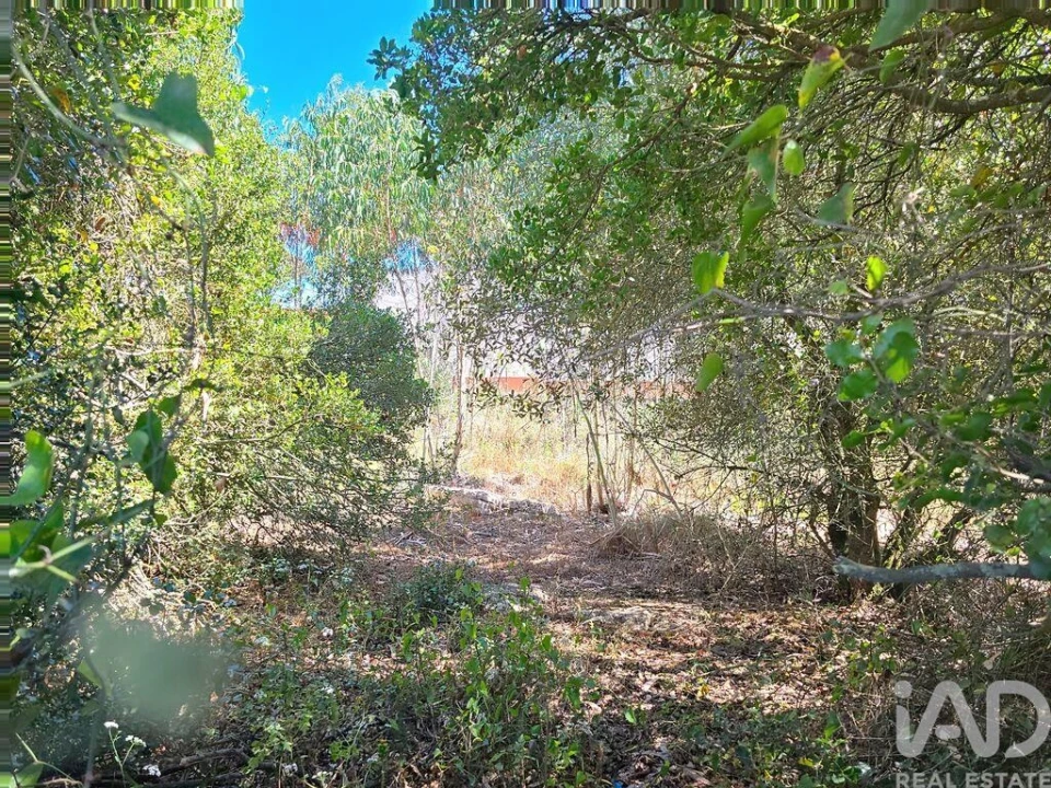 Terreno para Venda em Lourinhã e Atalaia Foto 22