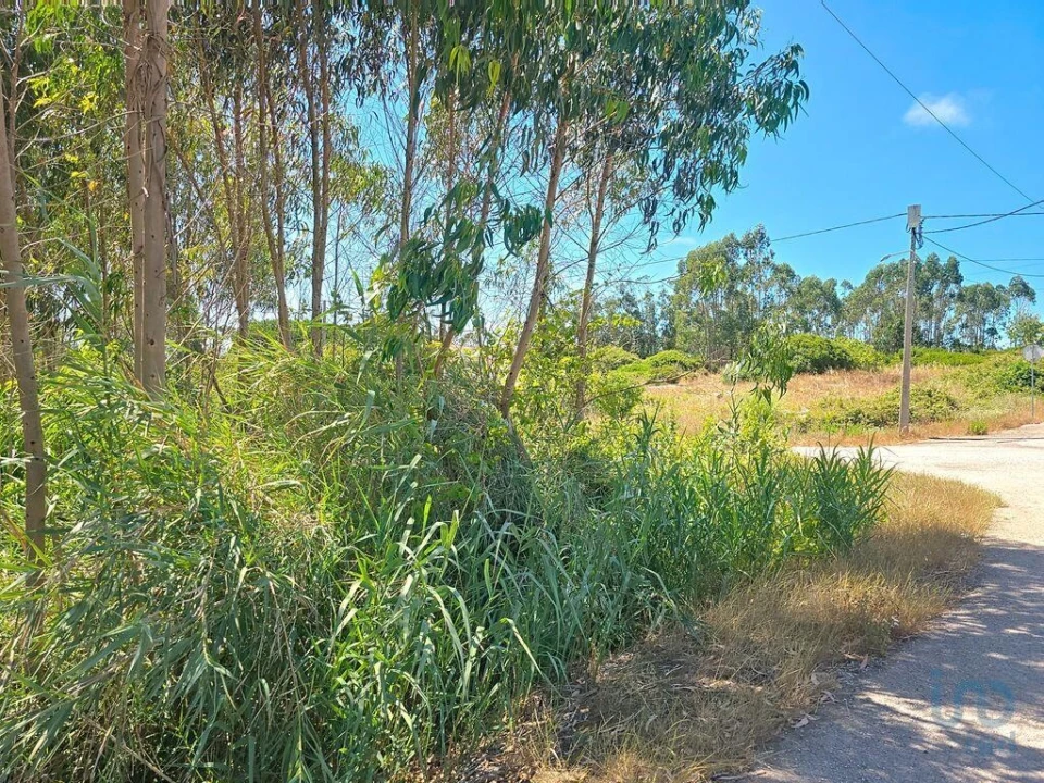 Terreno para Venda em Lourinhã e Atalaia Foto 2