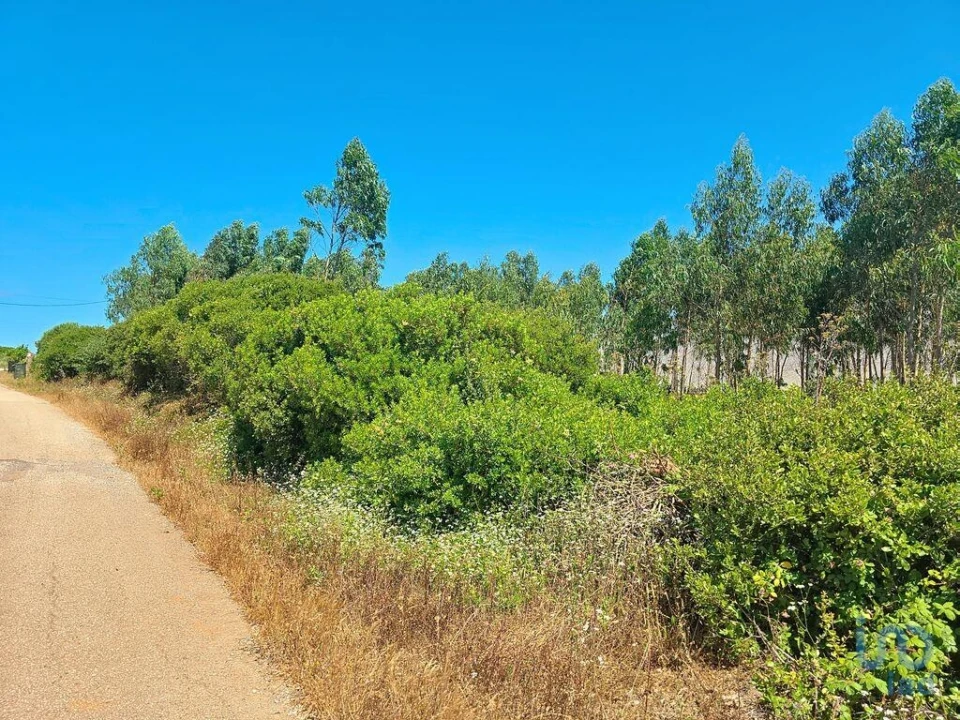 Terreno para Venda em Lourinhã e Atalaia Foto 13