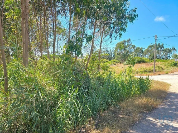 Terreno para Venda em Lourinhã e Atalaia Foto 2