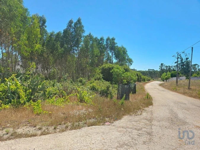 Terreno para Venda em Lourinhã e Atalaia