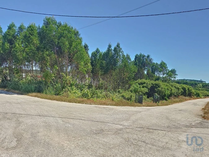 Terreno para Venda em Lourinhã e Atalaia Foto 5