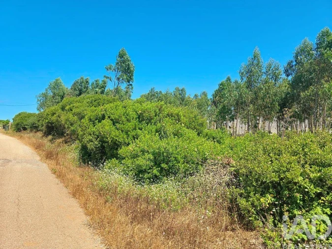 Terreno para Venda em Lourinhã e Atalaia Foto 29