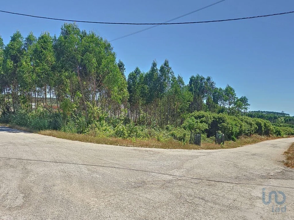 Terreno para Venda em Lourinhã e Atalaia Foto 5