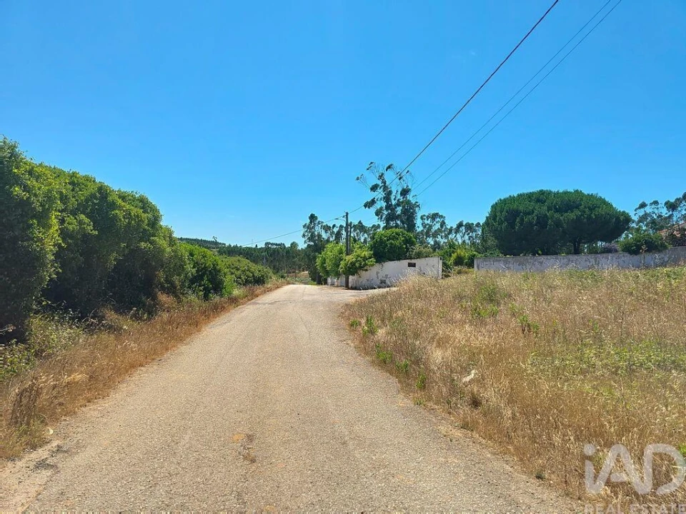 Terreno para Venda em Lourinhã e Atalaia Foto 21