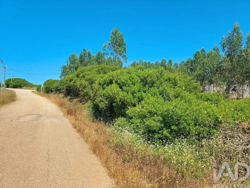 Terreno para Venda em Lourinhã e Atalaia Foto 27