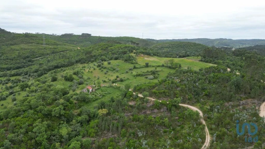 Moradia para Venda em São Miguel, Santa Eufémia e Rabaçal Foto 11