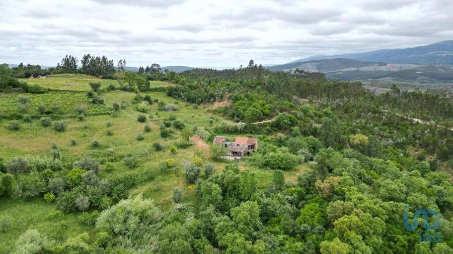 Moradia para Venda em São Miguel, Santa Eufémia e Rabaçal Foto 6