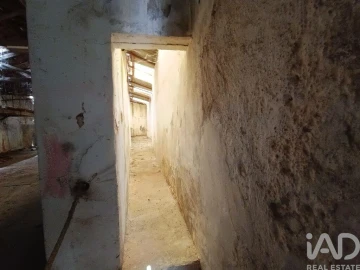 Terreno para Venda em Alenquer (Santo Estêvão e Triana)