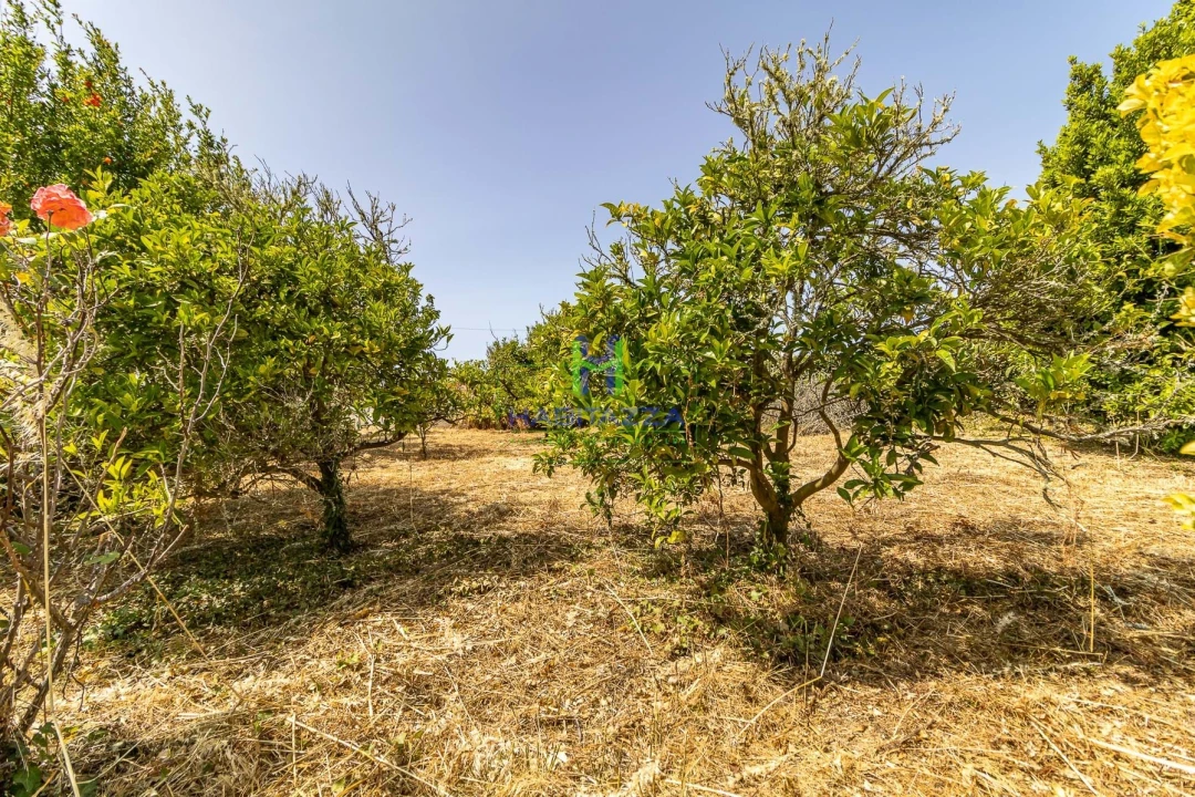 Moradia T3 para Venda em Bordeira Foto 29