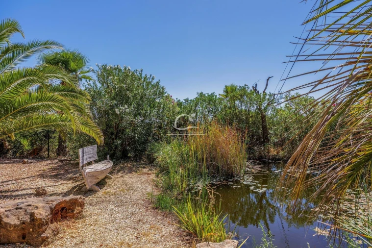 Moradia T3 para Venda em Olhão Foto 5