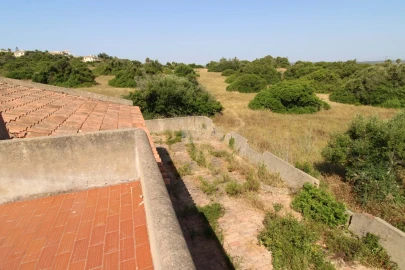 Terreno para Venda em Luz