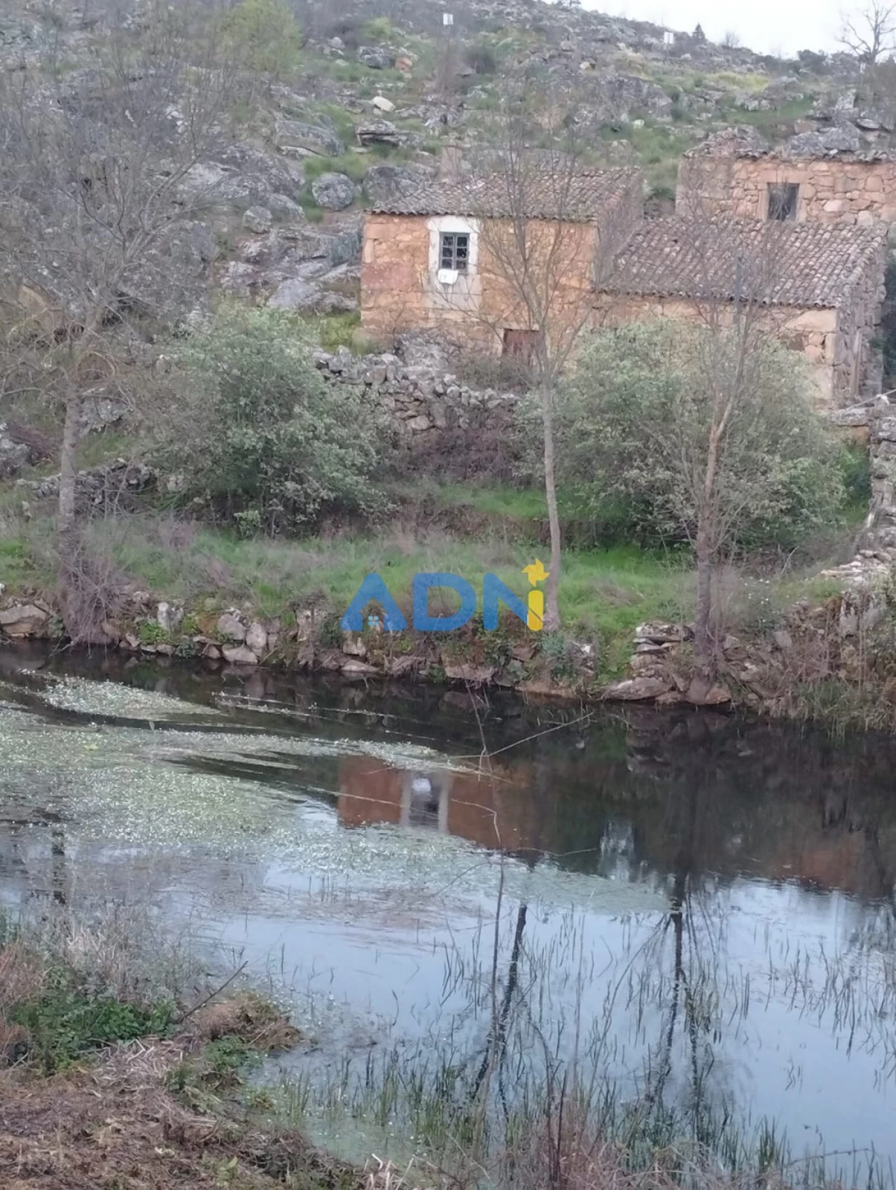 Moradia para Venda em Aldeia da Ribeira, Vilar Maior e Badamalos Foto 4