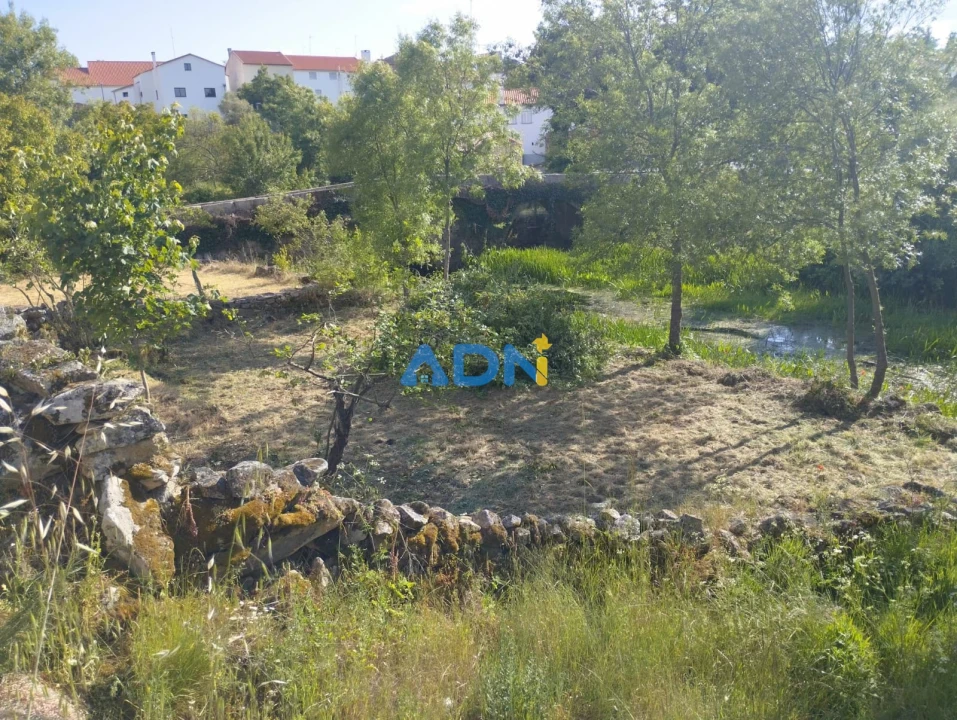 Moradia para Venda em Aldeia da Ribeira, Vilar Maior e Badamalos Foto 3