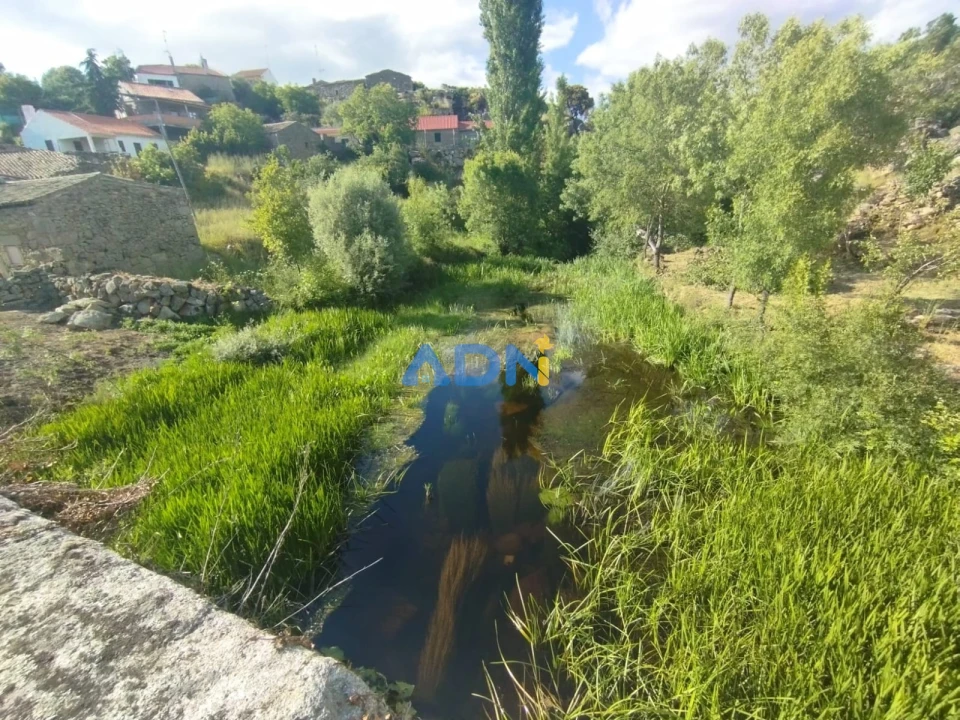 Moradia para Venda em Aldeia da Ribeira, Vilar Maior e Badamalos Foto 9