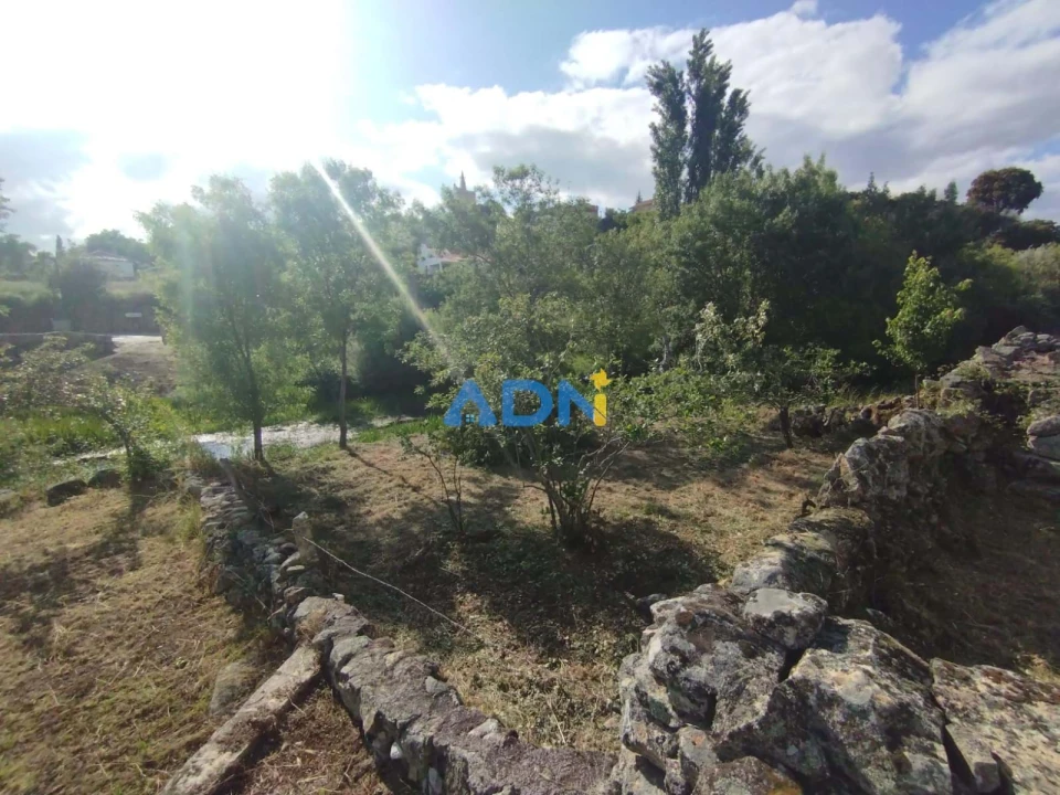 Moradia para Venda em Aldeia da Ribeira, Vilar Maior e Badamalos Foto 10