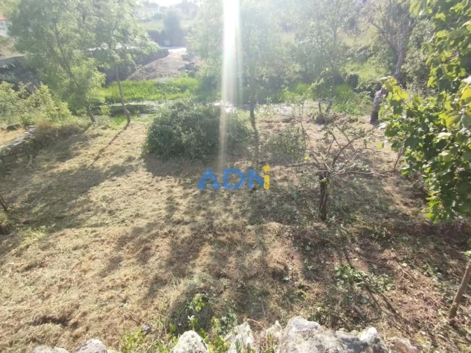 Moradia para Venda em Aldeia da Ribeira, Vilar Maior e Badamalos Foto 7