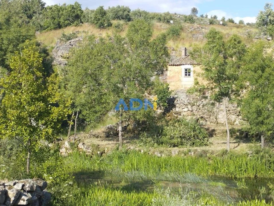 Moradia para Venda em Aldeia da Ribeira, Vilar Maior e Badamalos Foto 2