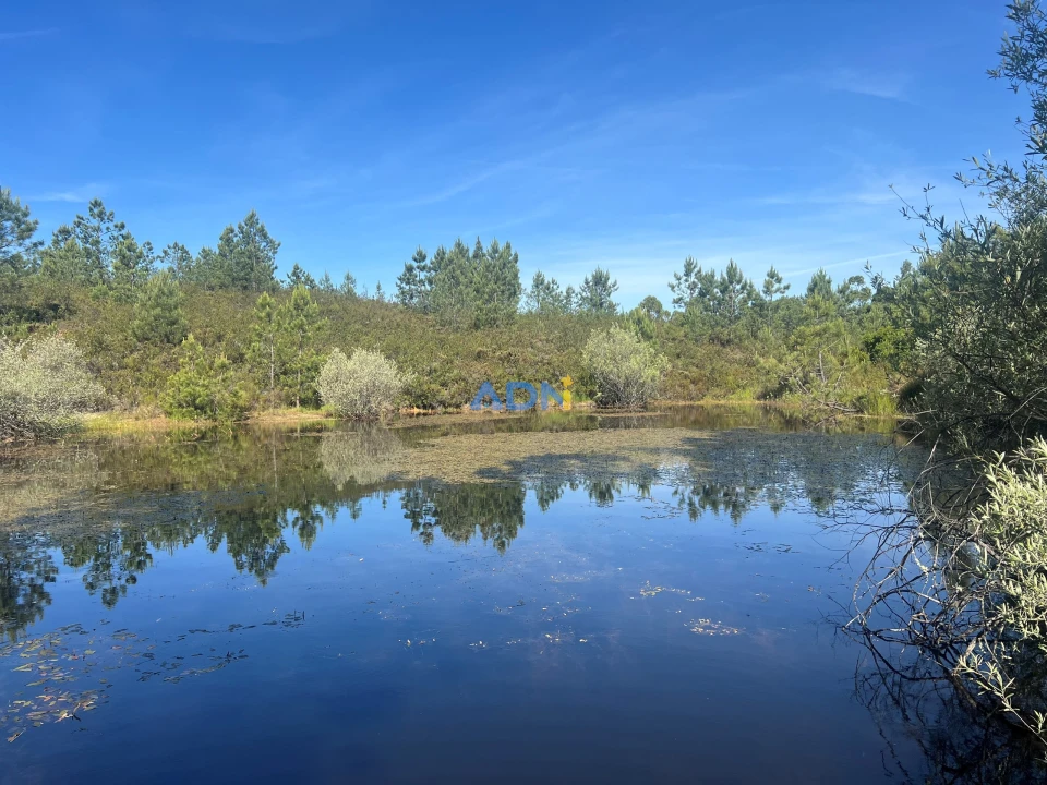 Terreno para Venda em Cebolais de Cima e Retaxo Foto 2