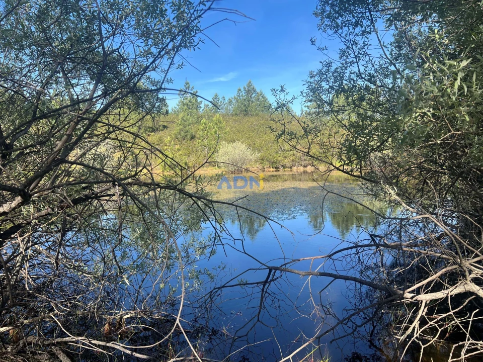 Terreno para Venda em Cebolais de Cima e Retaxo Foto 5