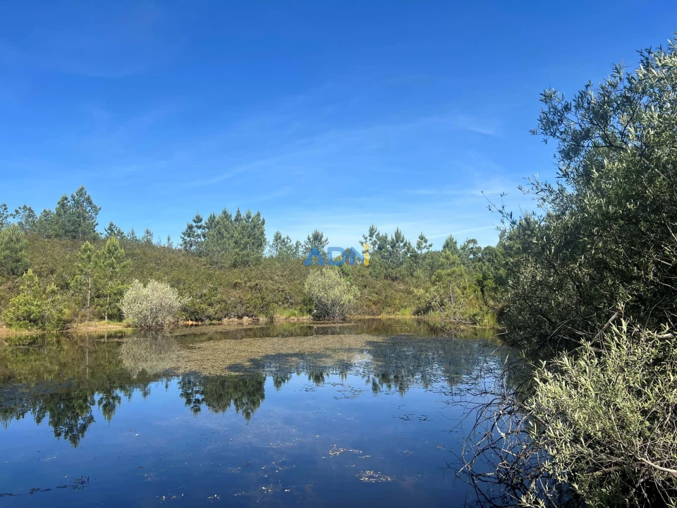Terreno para Venda em Cebolais de Cima e Retaxo Foto 7
